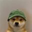 wuf icon