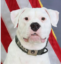 Axel icon
