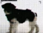 Grokinu icon