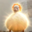 The Duck icon
