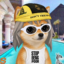 Inuify icon