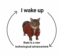 tekcat icon