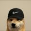 NKEDOG icon