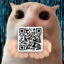 qrcat icon