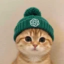CatGPT icon
