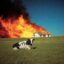 Everything will be OK icon