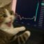 candle cat icon