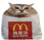hashcat icon