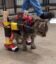 Catonwheels icon