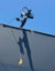 banana for scale icon
