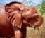 Sibu icon
