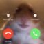 Calling Hamster icon