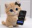 TESLACAT icon