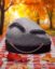 Rocco icon