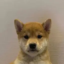 bob icon