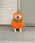 Pumpkinu icon