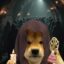 dogwifcult icon