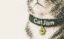 CatJam icon