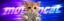 motioncat icon