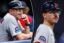 Sox icon