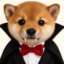 vamp icon