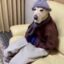 Dog Wif Hat icon