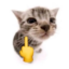 FUCK icon