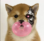 The bubble has popped icon