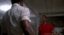 Tset icon