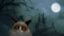 Grumpy Cat icon