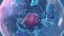 test icon