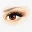 Eyes icon