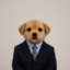 Suit icon