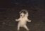 Fast Furry icon