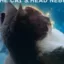 Space Cat icon