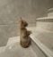 Kitten Climb icon