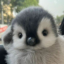peanie icon