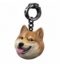 Helpful Doge icon